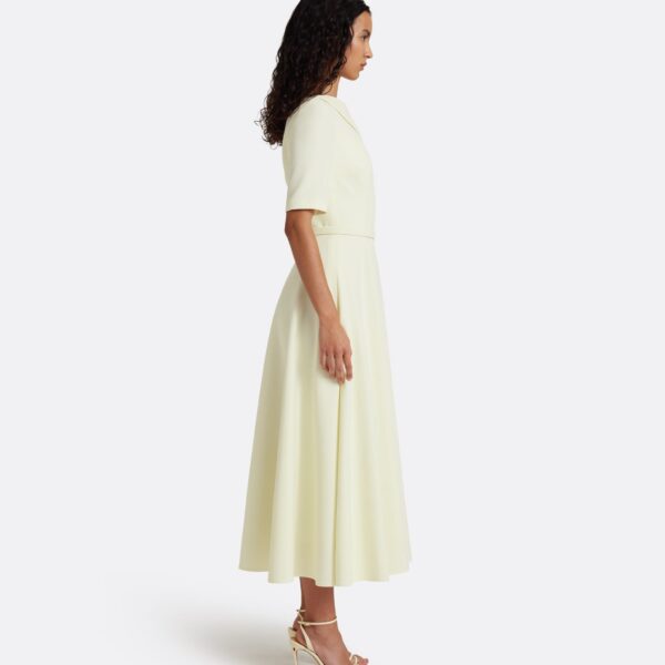 Safiyaa Melinda Midi Dress in Sorbet, view 5