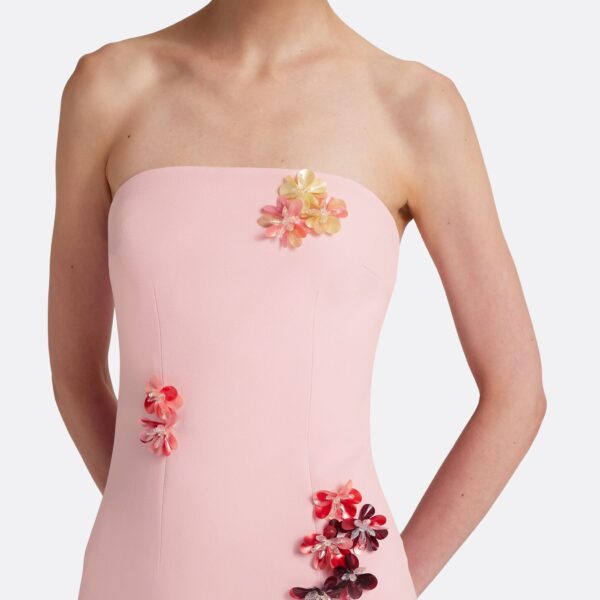 Safiyaa Soshin Long Dress in Lychee with Embroidery, view 4