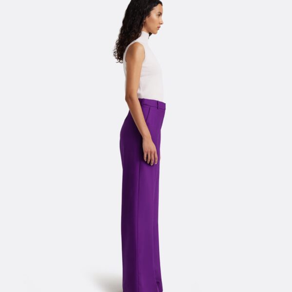 Safiyaa Touca Trouser in Currant, view 5