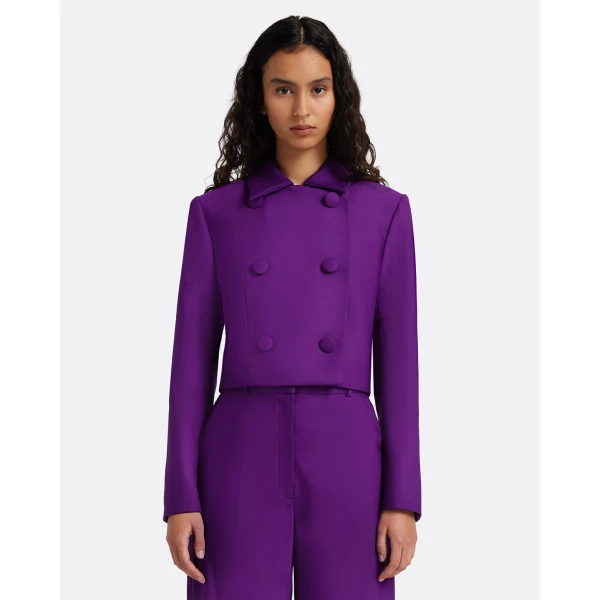 Safiyaa Yui Jacket in Currant, view 2