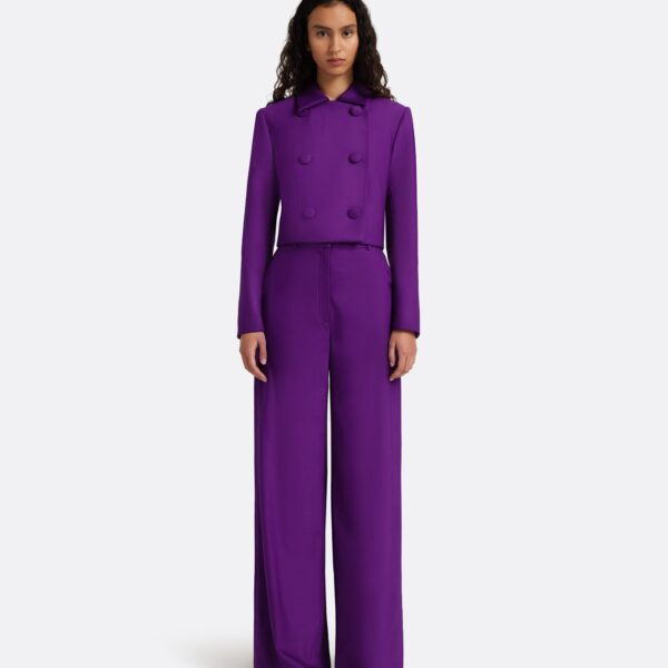 Safiyaa Yui Jacket in Currant, view 3