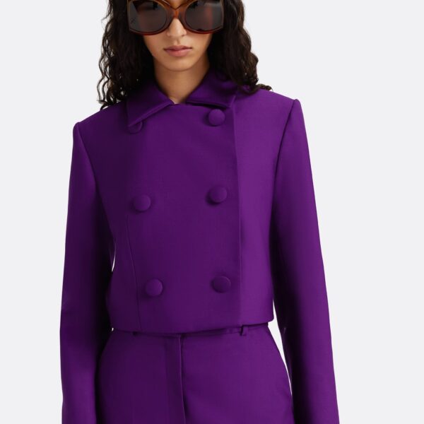 Safiyaa Yui Jacket in Currant, view 5