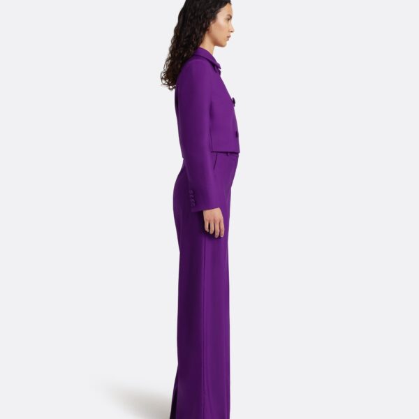 Safiyaa Yui Jacket in Currant, view 6