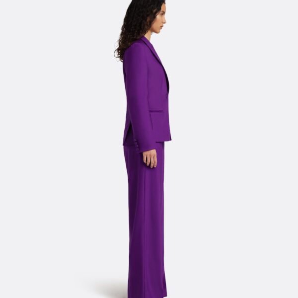 Safiyaa Yvette Jacket in Currant, view 6