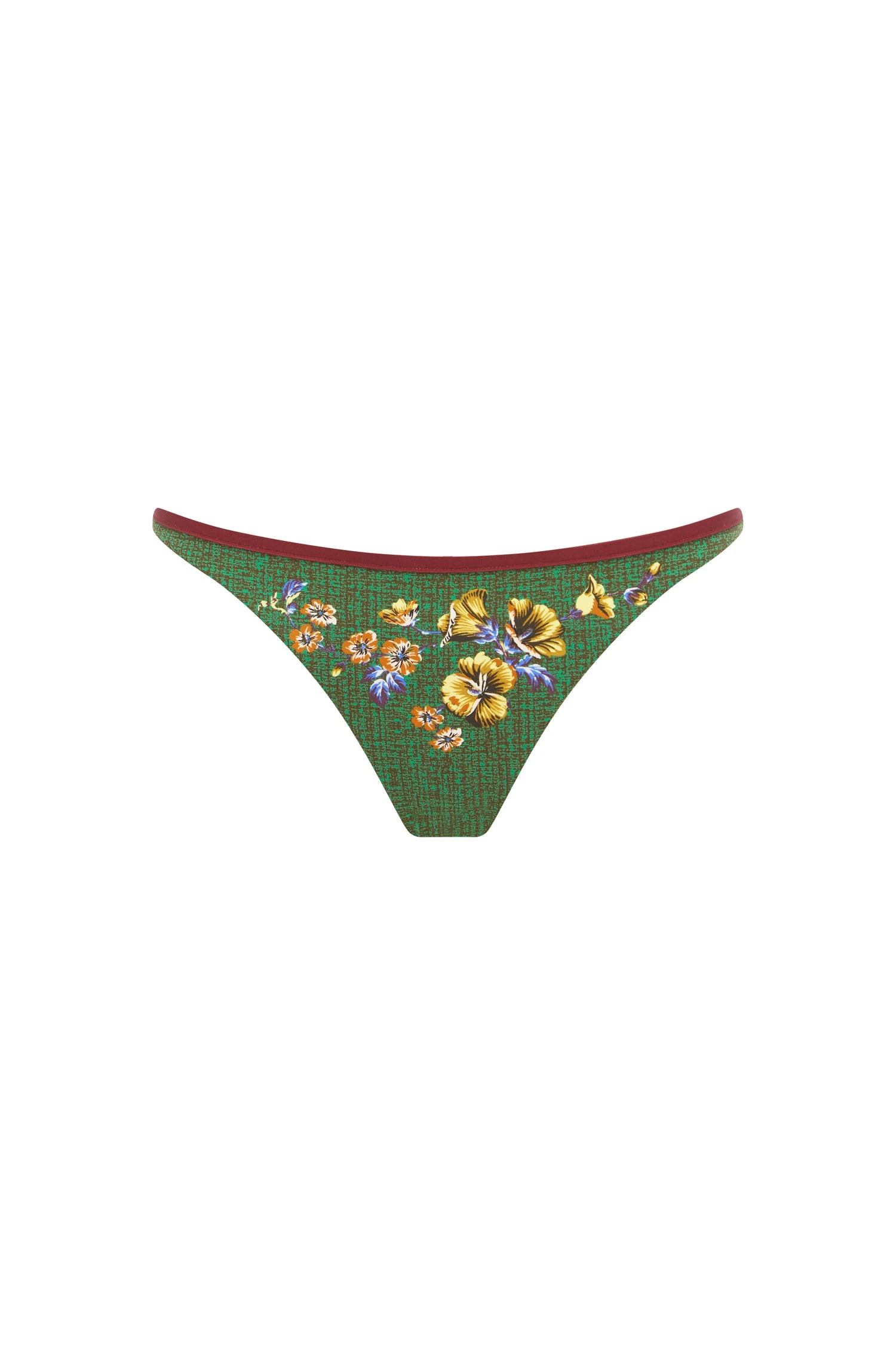 Phyllis Brief