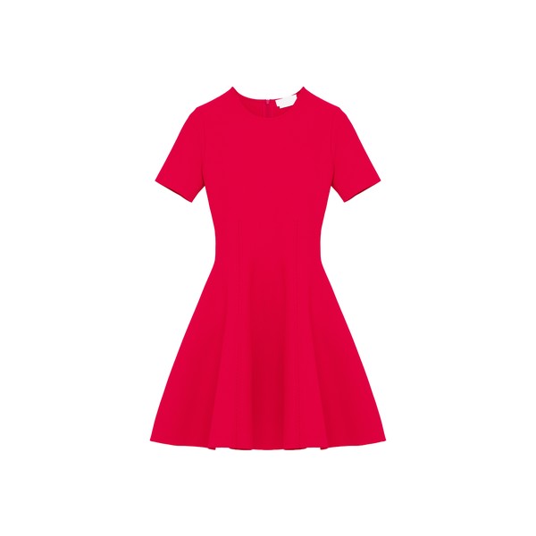 Alexander McQueen Fit And Flare Mini Dress