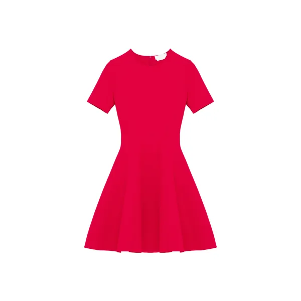 Alexander McQueen Fit And Flare Mini Dress