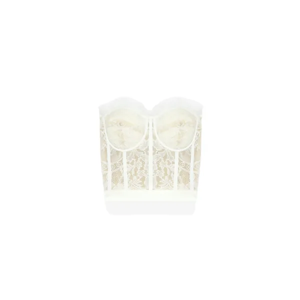 Alexander McQueen Lace Corset in White Top
