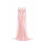 Avaro Figlio Embellished Gown With Ivory Cape Sleeves