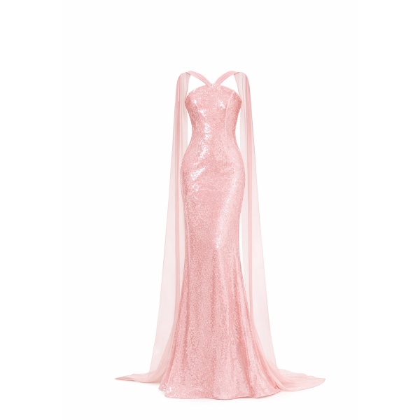 Avaro Figlio Embellished Gown With Ivory Cape Sleeves