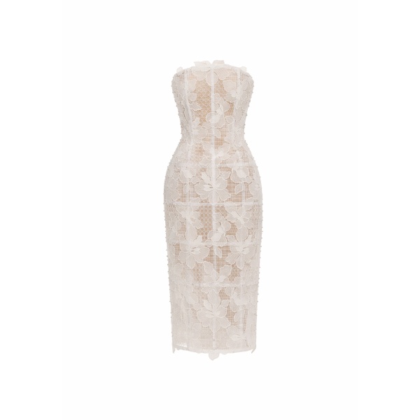 Avaro Figlio Sheer Mist Structured Midi Dress