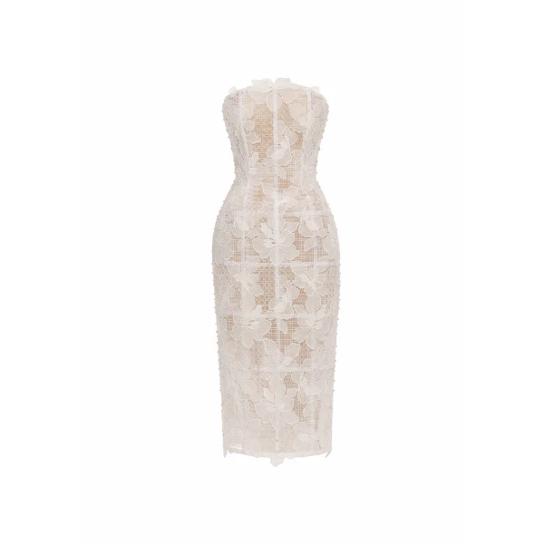 Avaro Figlio Sheer Mist Structured Midi Dress