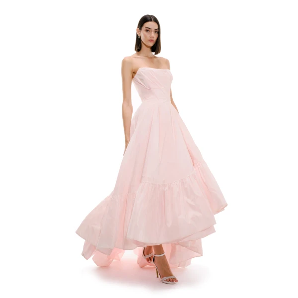 Avaro Figlio Strapless Gown, view 4