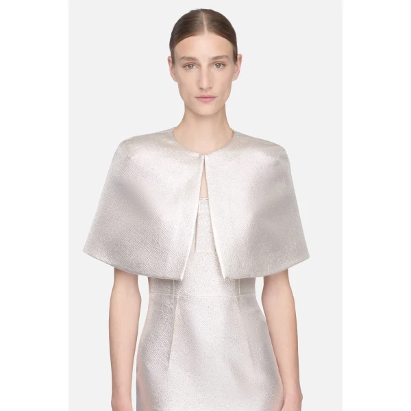 Emilia Wickstead Domie Cape in Champagne Metallic Cloque, view 4