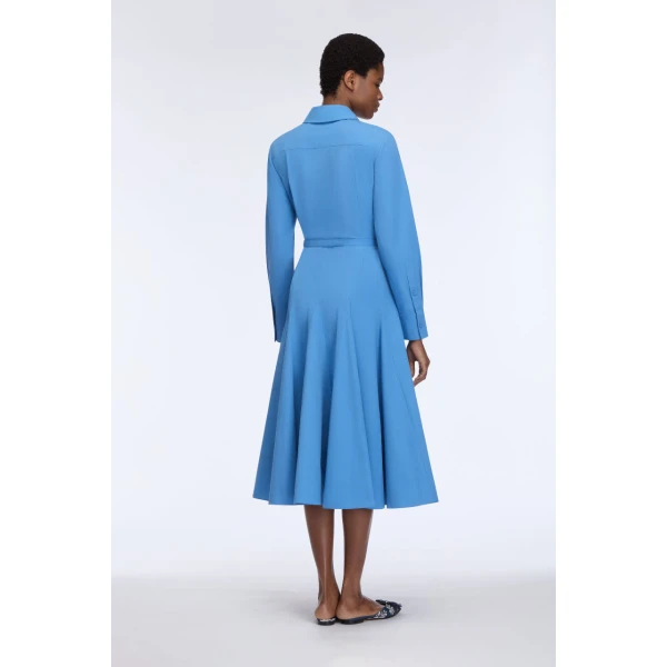 Emilia Wickstead Marione Dress in Blue Cotton Poplin, view 4