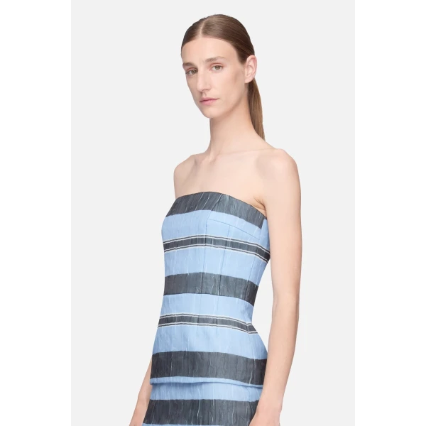 Emilia Wickstead Munveen Top in Blue & Black Striped Textured Organza, view 2