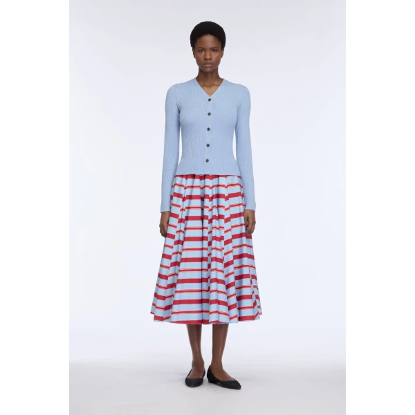 Emilia Wickstead Rhea Skirt in Blue & Red Striped Cotton Poplin, view 5