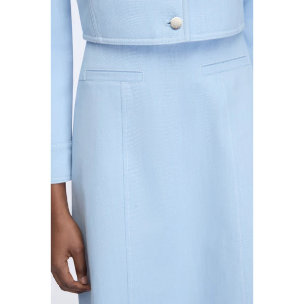 Emilia Wickstead Wilder Skirt in Icy Blue Denim, view 5