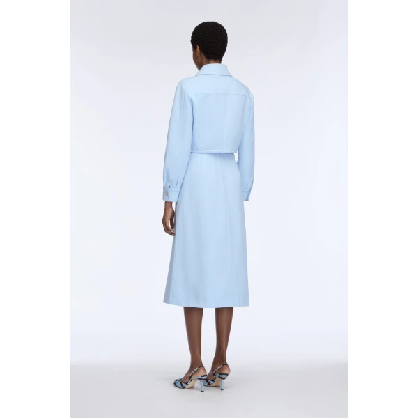 Emilia Wickstead Wilder Skirt in Icy Blue Denim, view 7
