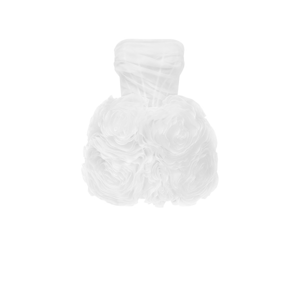 Milla Appliquéd organza white mini dress