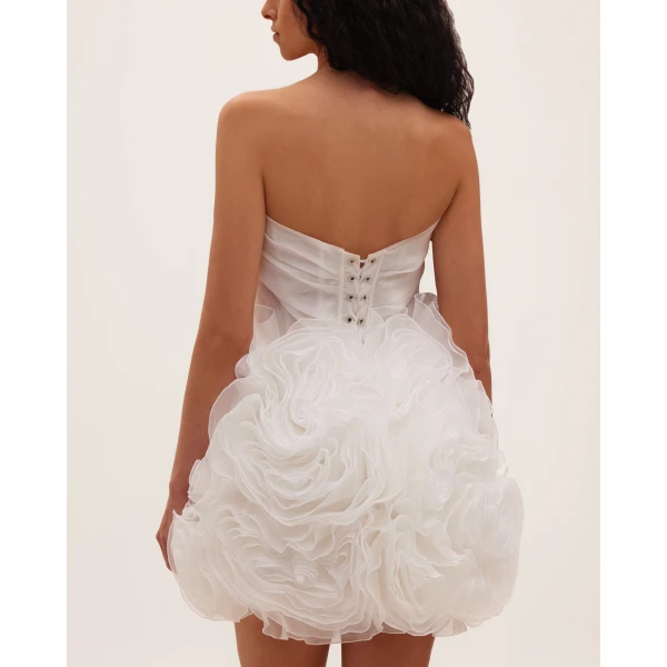 Milla Appliquéd organza white mini dress, view 2