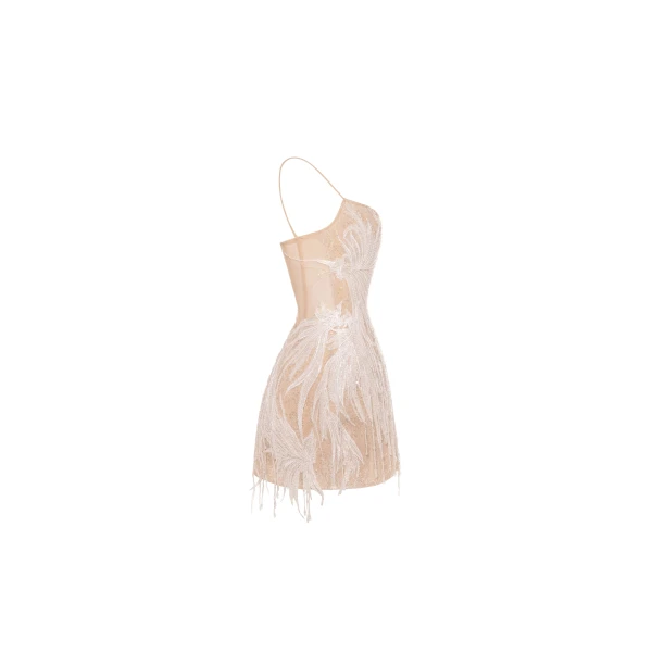 Milla Beige lace corset mini dress embellished with sequins and fringes, view 5