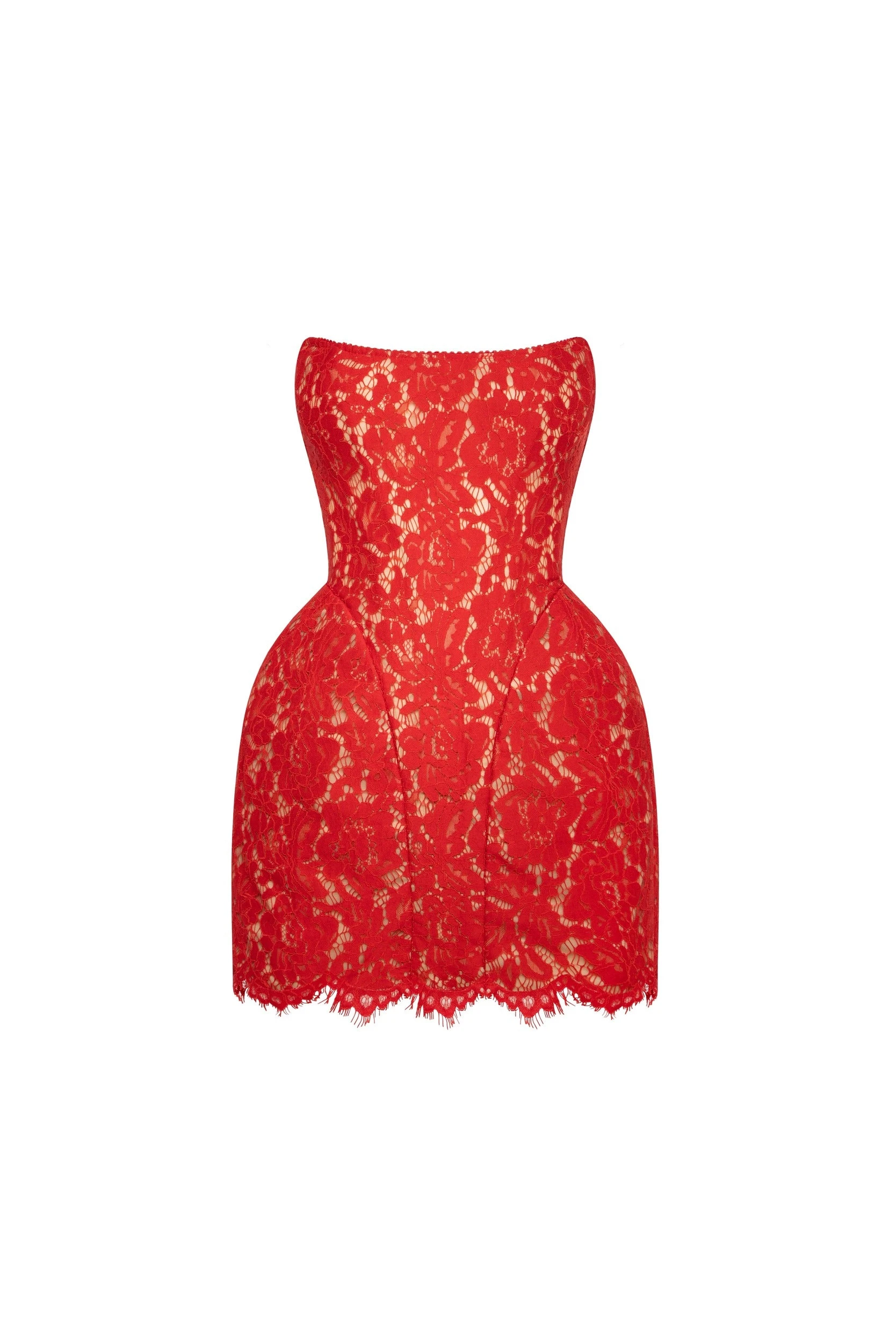 Milla Fitted red lace mini dress - Dresses - Ukrainian Luxury Evening Gown at Luxury Shoes Milla Fitted red lace mini dress