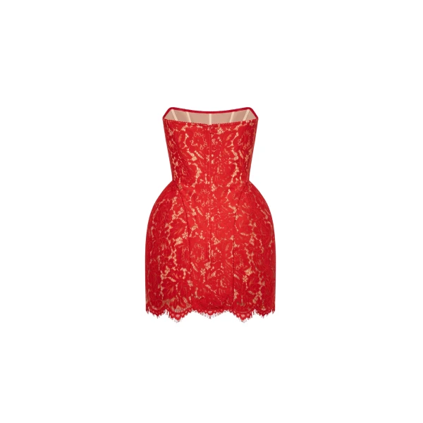 Milla Fitted red lace mini dress, view 3