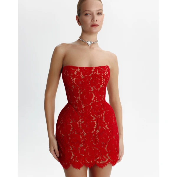 Milla Fitted red lace mini dress, view 4