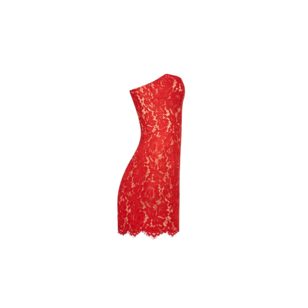 Milla Fitted red lace mini dress, view 5