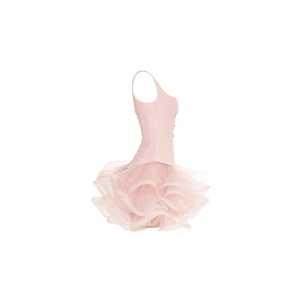 Milla Sculpting pink low-waist corset Top, view 5