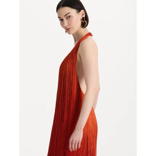 Oscar de la Renta Ombré Fringe Gown, view 4