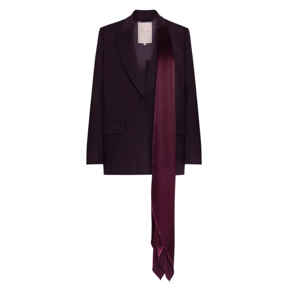 Roksanda Isabel Jacket in Burgundy