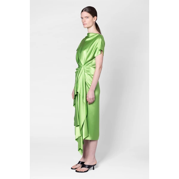 Roksanda Zoa Dress in Meadow Green, view 4