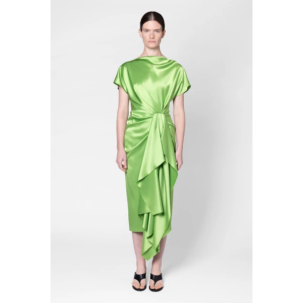 Roksanda Zoa Dress in Meadow Green, view 5