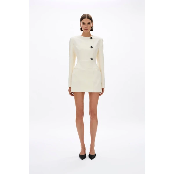 Rachel Gilbert Finley Mini Dress, view 2