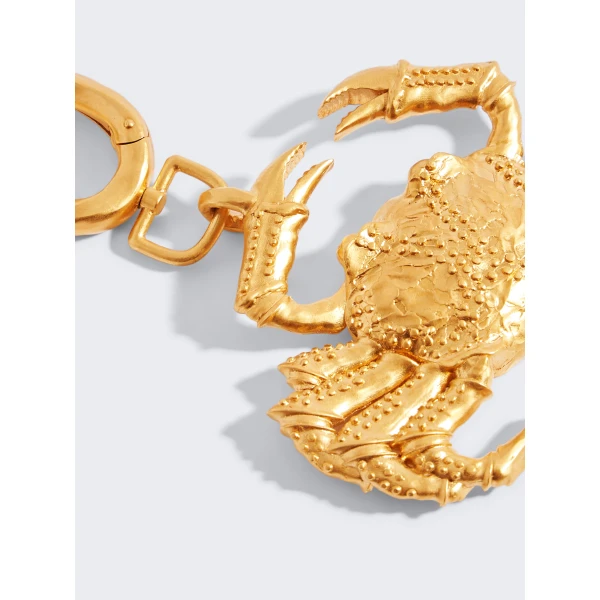 Schiaparelli Cancer Charm, view 2