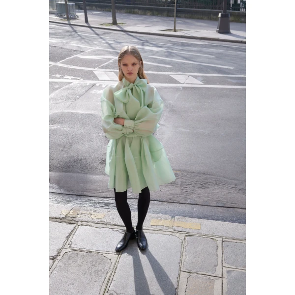Viktor & Rolf Pussy Bow Circle Organza Mini Dress in Light Green, view 6