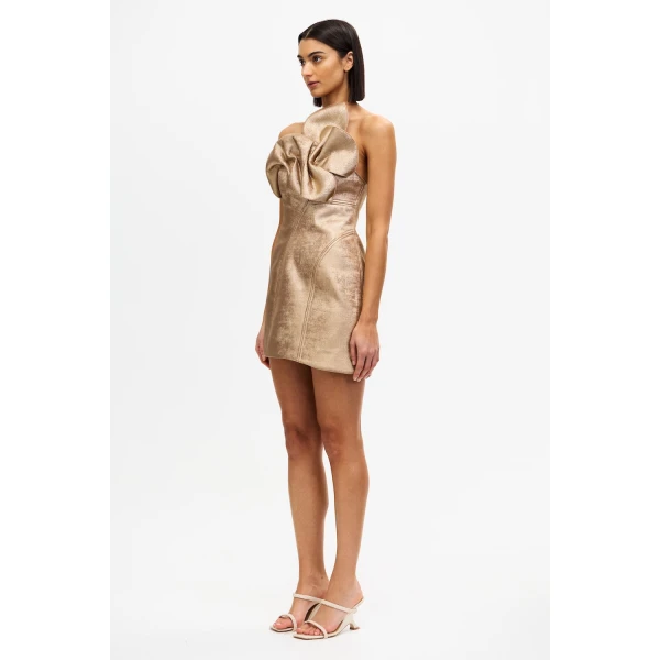 Acler Finwood Mini Dress in Gold, view 2