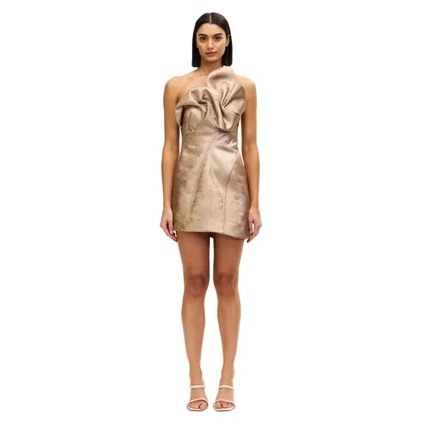 Acler Finwood Mini Dress in Gold