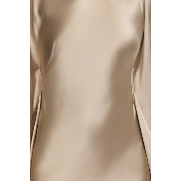Acler Jarvis Maxi Dress in Champagne, view 4