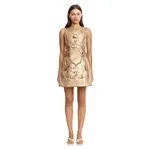 Acler Raffin Mini Dress in Gold