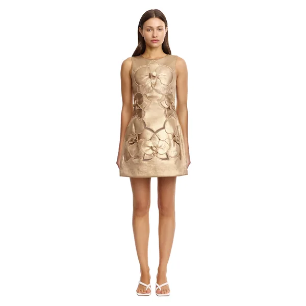 Acler Raffin Mini Dress in Gold
