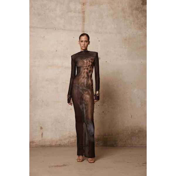 Bronx and Banco Leopard Long Sleeve Sheer Mesh Maxi Dress, view 4