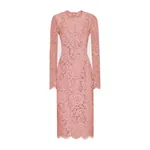 Dolce & Gabbana Calf-length sheath dress in branded floral cordonetto lace