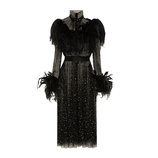 Calf-length stretch tulle dress with fusible rhinestones and rooster and ostrich feather embellishment