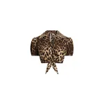 Dolce & Gabbana Leo-print poplin shirt
