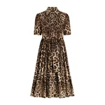 Dolce & Gabbana Leo-print poplin shirt dress