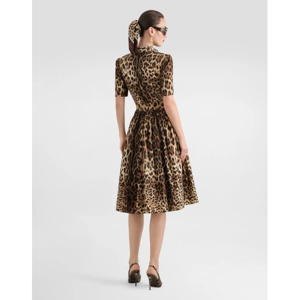 Dolce & Gabbana Leo-print poplin shirt dress, view 3