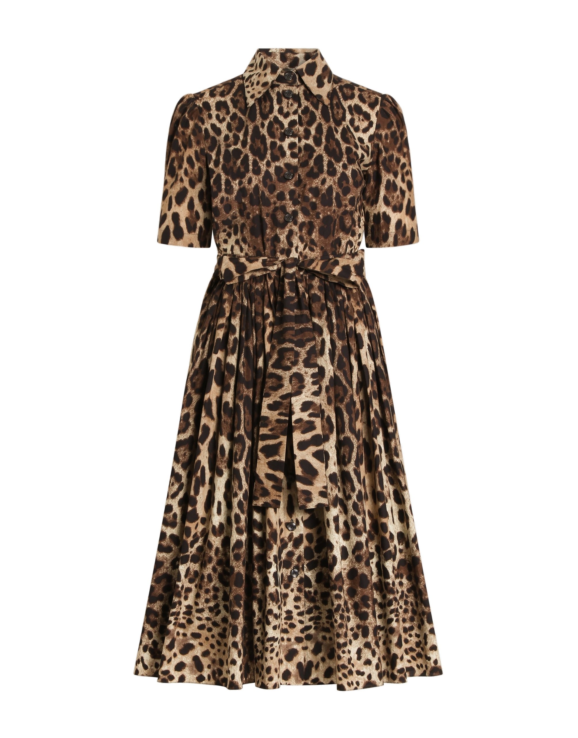 Dolce & Gabbana Leo-print poplin shirt dress